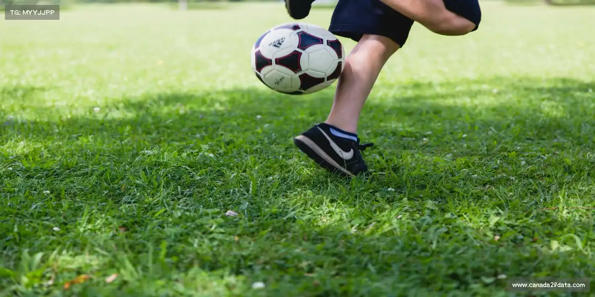 加拿大28官网——🏄♀️💥 管浪穿越,水晶隧道!